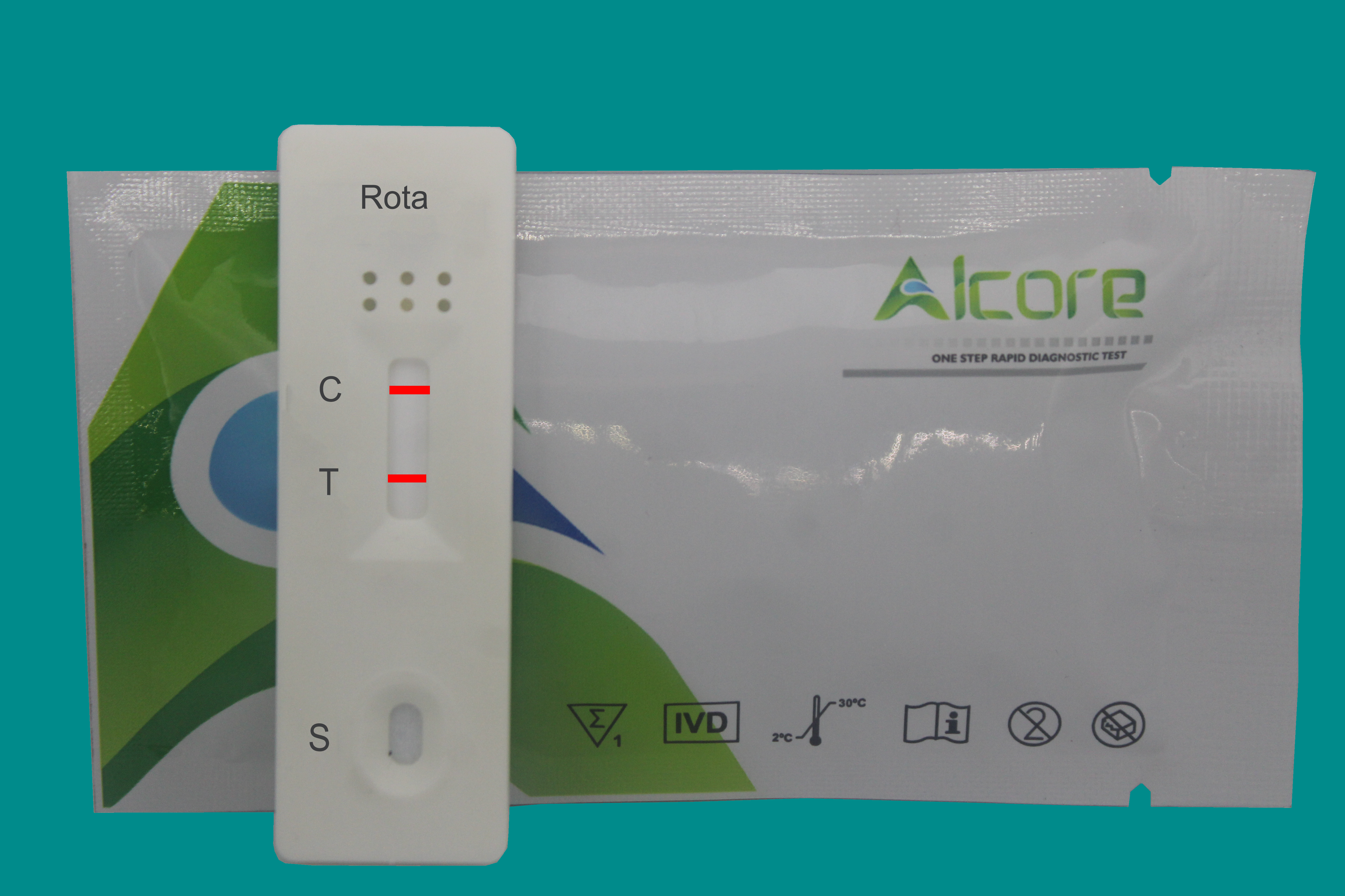 Rota